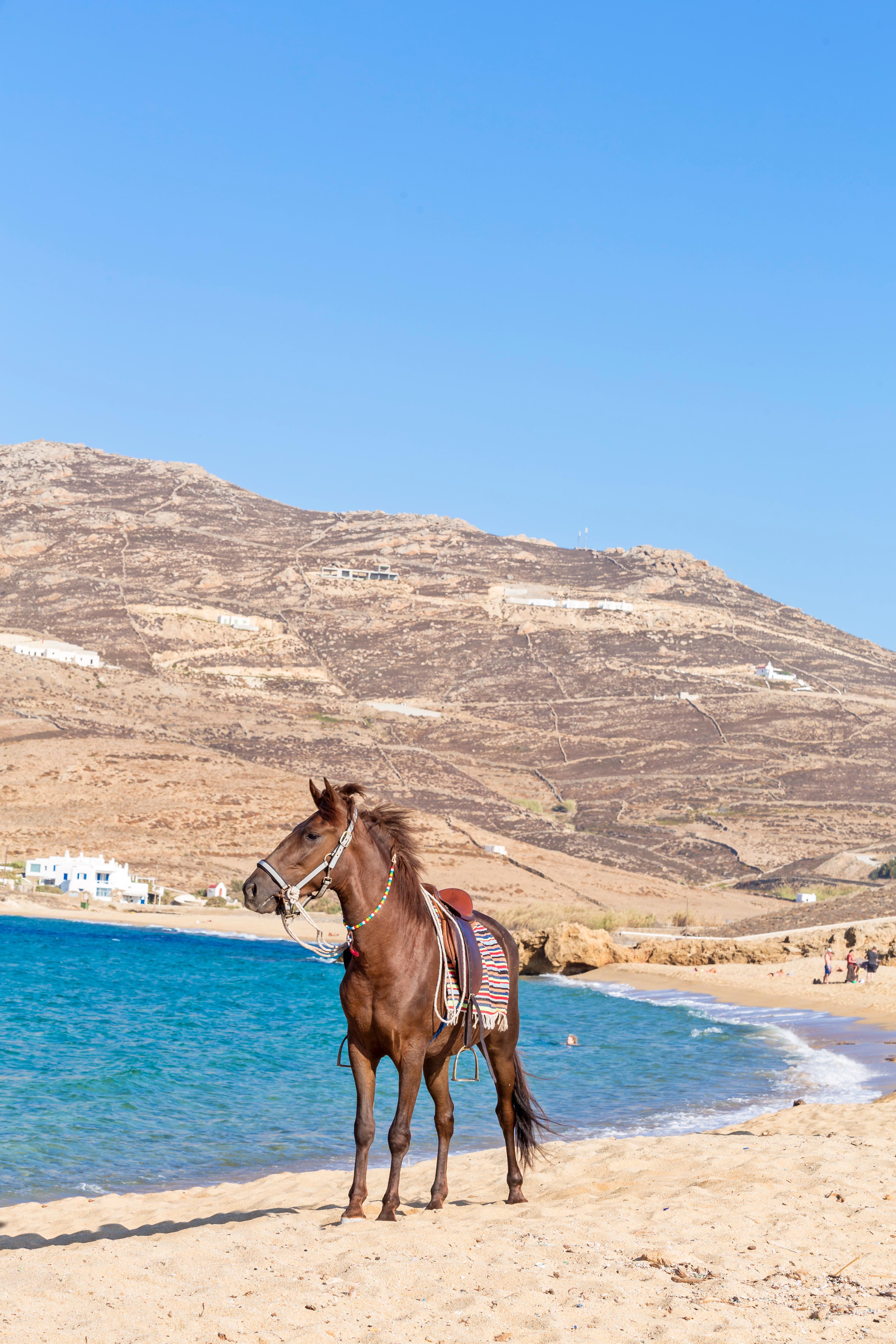 Anamar Mykonos Natural Retreat Ftelia  Екстер'єр фото