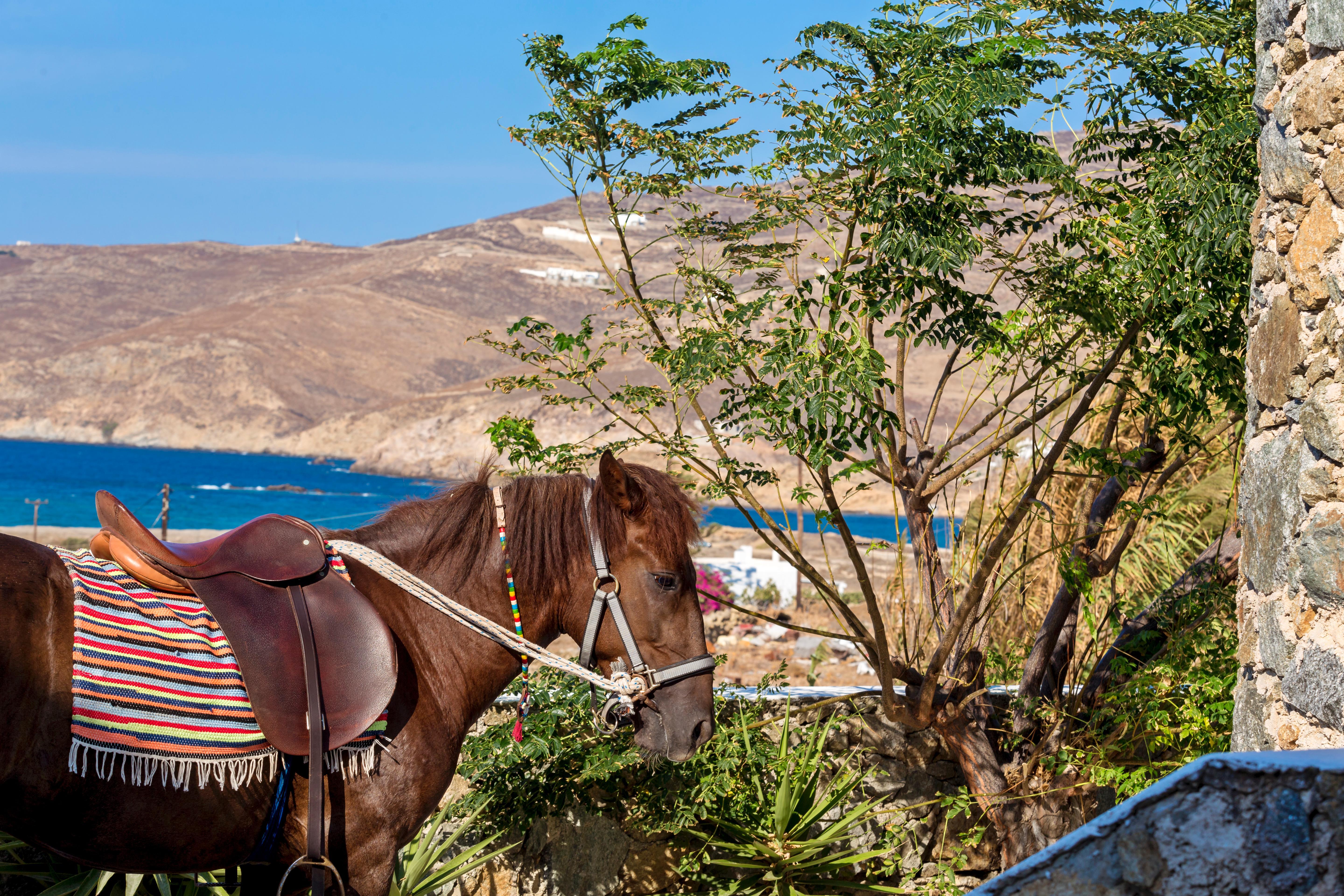 Anamar Mykonos Natural Retreat Ftelia  Екстер'єр фото